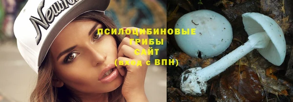 дурь Алексеевка