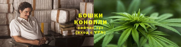 дурь Алексеевка