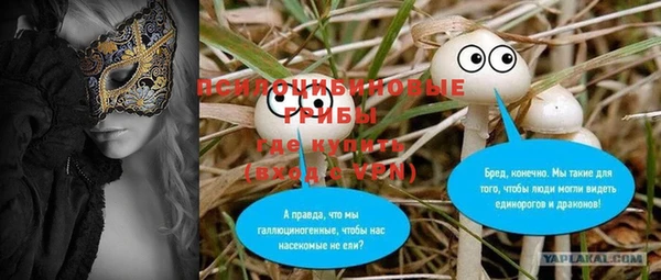 соль курить ск Алзамай