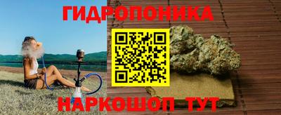 крисы Малоярославец