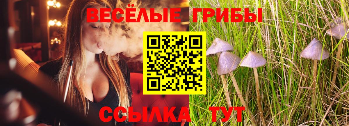 как найти наркотики  Галлюциногенные грибы Magic Shrooms  Вход с VPN  Канаш 